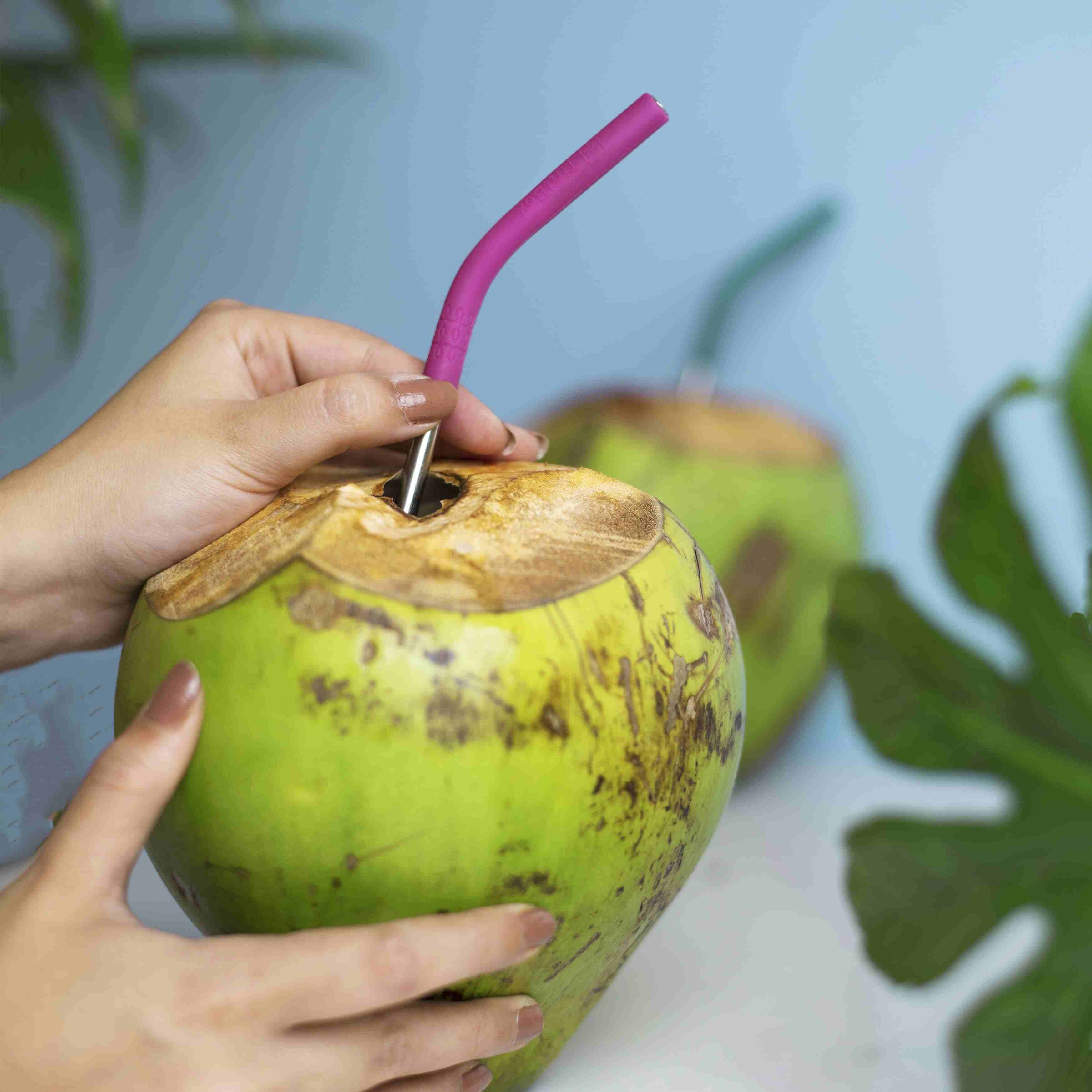 Pack of 4 Stainless Steel Straws with Silicone Tip and Cleaning Brush - Image 5